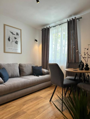 Modern Cozy Apartment Zalau